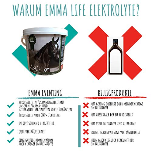 EMMA ♥ electrolitos Naturales para Caballos, sin dopaje I alimentación energética I Suplementos I minerales Naturales y aminoácidos I Caballos de Deporte y competición I 700 g