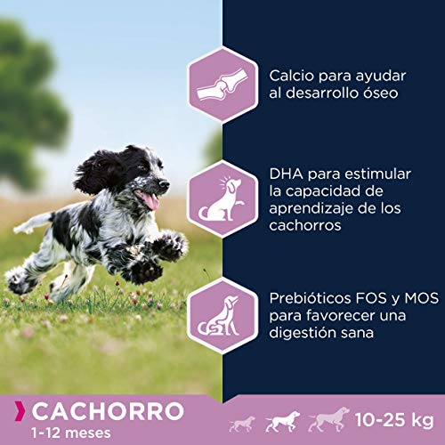 Eukanuba Alimento seco para cachorros de raza mediana, rico en pollo fresco 3 kg