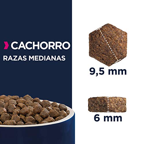 Eukanuba Alimento seco para cachorros de raza mediana, rico en pollo fresco 3 kg