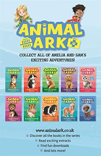 Fox Cub Danger: Book 3 (Animal Ark)