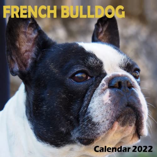French Bulldog Calendar 2022: Cute French Bulldog Puppy Puppies Desk Calendar, Small Fun Frenchies Daily Mini Calendar, Page A Day French Bulldog Dog ... Gift For French Bulldog Lover Owner Women.