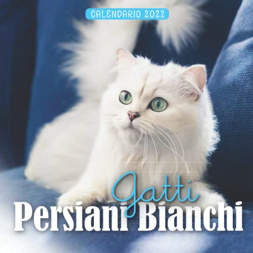 Gatti Persiani Bianchi Calendario 2022: Un Calendario Mensile Di 12 Mesi Gennaio A Dicembre 2022 8.5x8.5 pollici. Un Grande Regalo Per Natale, Un Compleanno O Qualsiasi Altra Occasione Speciale