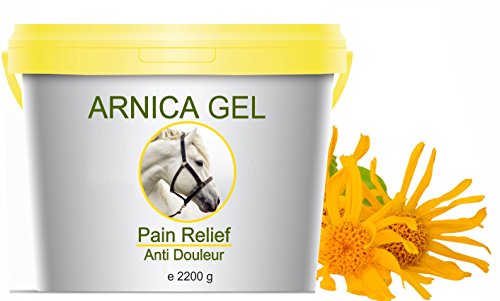 Gel de Árnica Montana 90% Caballos 2200g Acción Rápida Remedio herbal 100% Natural