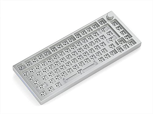Glorious PC Gaming Race GMMK Pro White Ice 75% TKL Tastatur - Barebone, ANSI-Layout, Plata