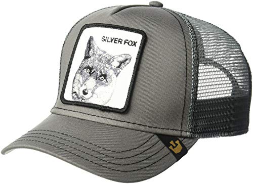 Goorin Bros. Gorra de béisbol para Hombre, Silver Fox, Talla única