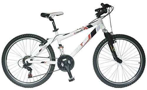 GOTTY Bicicleta Infantil para Edades Entre 10 y 12 años Cloud-24