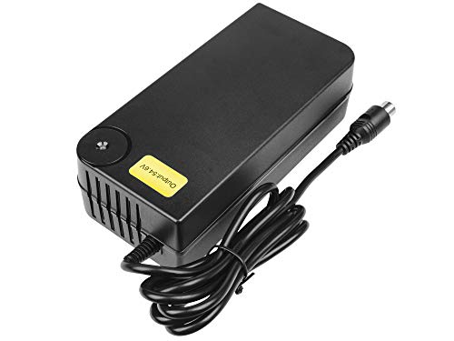 Green Cell® Cargador (54.6V 4A 218W) para Freway Gazelle Giant Greens Haibike Husqvarna KTM Kalkhoff Keeway E-Bike Bicicleta Eléctrica Li-Ion Batería (Conector RCA)
