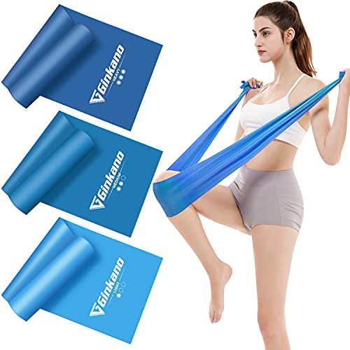 Haquno Bandas Elasticas Fitness(3pcs), 1.5M Cintas Elasticas con 3 Niveles de Resistencia, Pilates, Crossfit, Estiramientos, Musculacion, Piernas, Brazos, Fuerza