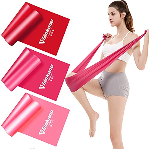 Haquno Bandas Elasticas Fitness(3pcs), 1.5M Cintas Elasticas con 3 Niveles de Resistencia, Pilates, Crossfit, Estiramientos, Musculacion, Piernas, Brazos, Fuerza