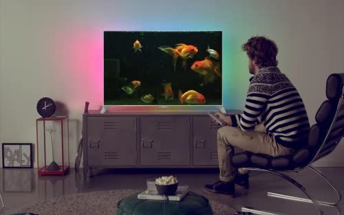 Hermoso acuario HD gratis: decora tu habitación con un hermoso acuario en tu televisor HDR 4K, televisor 8K y dispositivos de fuego como fondo de pantalla, decoración para las vacaciones de Navidad, t
