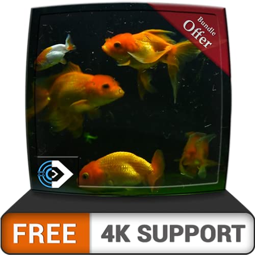 Hermoso acuario HD gratis: decora tu habitación con un hermoso acuario en tu televisor HDR 4K, televisor 8K y dispositivos de fuego como fondo de pantalla, decoración para las vacaciones de Navidad, t