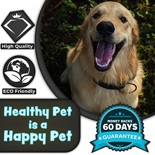 H&H Pets - Cepillo de dientes profesional para perros y perros, gran higiene dental, opción de silicona, paquete de 4 u 8 (tamaño grande (cerdas estándar), 8 unidades)