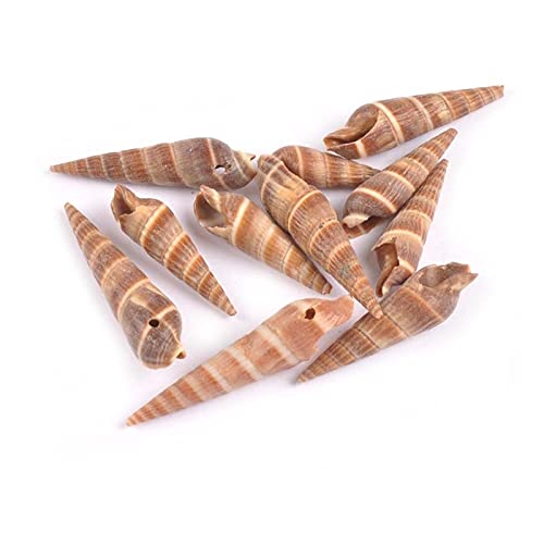 HKRSTSXJ Concellas Marrones Naturales Artesanía DIY Scrapbooking Un Agujero Shells Espiral Hecho a Mano para la Botella de Vidrio Decoración del hogar