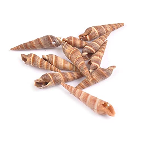 HKRSTSXJ Concellas Marrones Naturales Artesanía DIY Scrapbooking Un Agujero Shells Espiral Hecho a Mano para la Botella de Vidrio Decoración del hogar