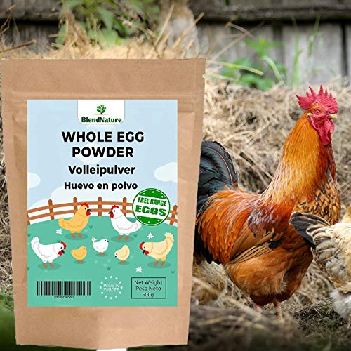 Huevo en Polvo 500 g – Procedencia 100% Gallina en Libertad FREE RANGE– Natural sin Gluten –Sin Aditivos ni Conservantes – Ideal Campings Acampadas etc.- Para Tortillas Revueltos y Reposteria.