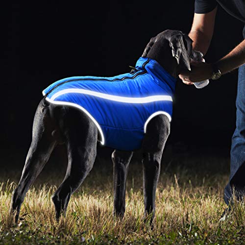 Idepet Abrigo Impermeable para Perros Chaqueta cálida de Invierno,Ropa para Mascotas a Prueba Viento Chaqueta para Perros Traje para Perros pequeños medianos Grandes con Orificio para el arnés XL-6XL