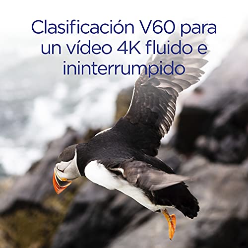 Integral Memory Tarjeta SD UHS-II de 64GB V60 de hasta 260 MB de Velocidad de Lectura y 100 MB de Velocidad de Escritura SDXC Profesional de Alta Velocidad