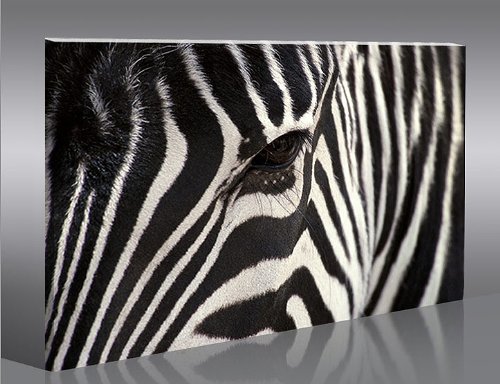 islandburner Cuadro en Lienzo Zebra V2-1p Impresión sobre Lienzo - Formato Grande - Cuadros Modernos