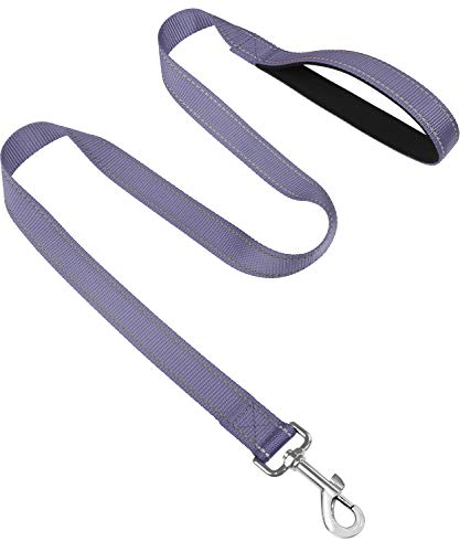 Joytale Correa para Perros Reflectante, Correa para Perros con Mango Acolchado, Correa de Adiestramiento para Perros Pequeños y Perrito, 120×2cm, Gris