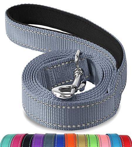 Joytale Correa para Perros Reflectante, Correa para Perros con Mango Acolchado, Correa de Adiestramiento para Perros Pequeños y Perrito, 120×2cm, Gris