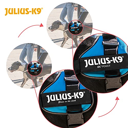 Julius-K9 162R-MM - Arnés para Perros, Rojo, XS/Mini-Mini, 1 unidad