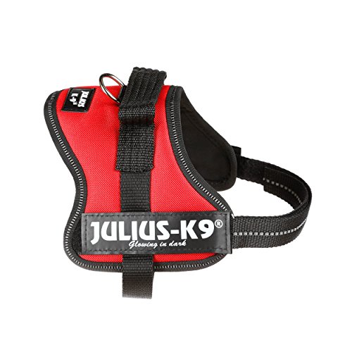 Julius-K9 162R-MM - Arnés para Perros, Rojo, XS/Mini-Mini, 1 unidad