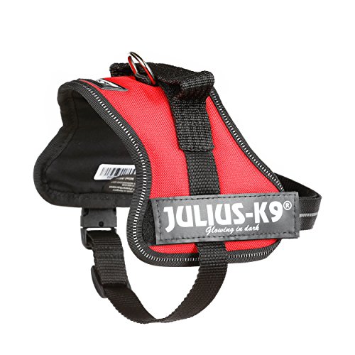 Julius-K9 162R-MM - Arnés para Perros, Rojo, XS/Mini-Mini, 1 unidad