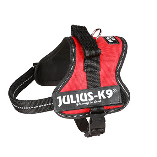 Julius-K9 162R-MM - Arnés para Perros, Rojo, XS/Mini-Mini, 1 unidad