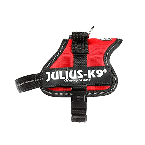 Julius-K9 162R-MM - Arnés para Perros, Rojo, XS/Mini-Mini, 1 unidad