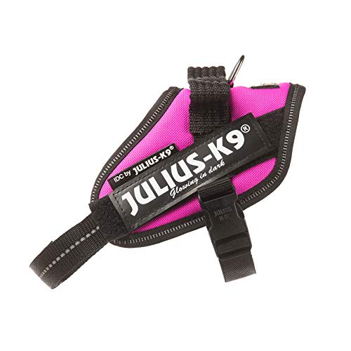 JULIUS-K9 16IDC Power Harness