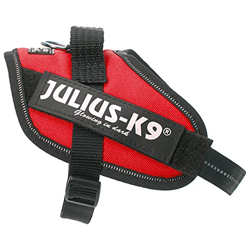JULIUS-K9 Arnés JULIUS-K9 IDC, XS/mini-mini, 40–53 cm/22 mm, Rojo, Perro