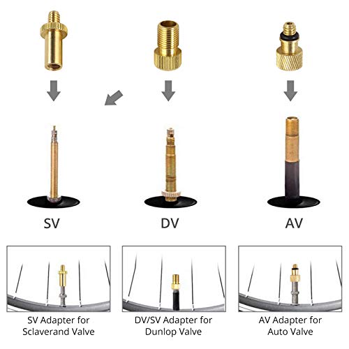 Justech Adaptador de Bamba de Bicicleta de DV SV AV Adaptador de Válvula Schrader para Bicicleta Juego de Adaptador de Bomba de Bici con Anillos de Sellados para Bicicleta de Montaña Jueguete Pelota