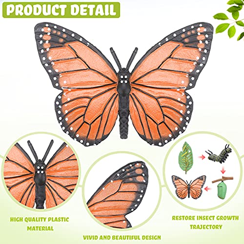 Kit de 25 Juguetes de Figuras de Cifras de Ciclo de Vida de Rana Mariposa Mosquito Araña Hormiga Abeja Modelos Educativos de Simulación de Ciclo de Crecimiento Animal para Niños, 6 Animales