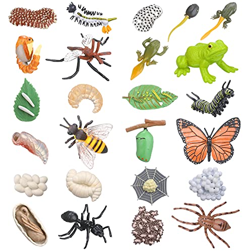 Kit de 25 Juguetes de Figuras de Cifras de Ciclo de Vida de Rana Mariposa Mosquito Araña Hormiga Abeja Modelos Educativos de Simulación de Ciclo de Crecimiento Animal para Niños, 6 Animales