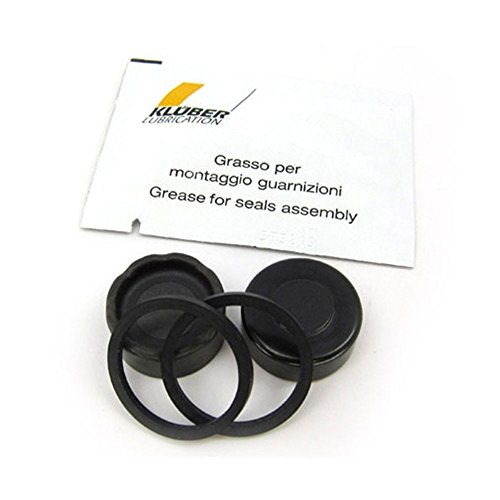 Kit PISTONES Recambio para Pinza Formula R1