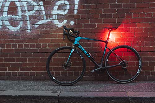 Knog Lil' Cobber Rear 10.75652, Luz de bicicleta, Iluminación trasera, LED 50 lm, Rojo/Negro