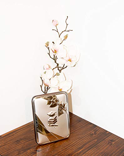 Laurea – Cuadro plateado con detalles brillantes – Panel de madera natural – Fabricado en Italia – 20 x 16 cm