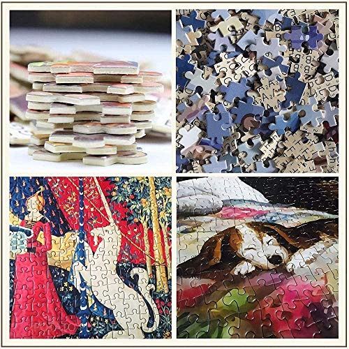 LHJOY Puzzle 1000 Piezas Alcatraz De Aves Marinas 75X50Cm