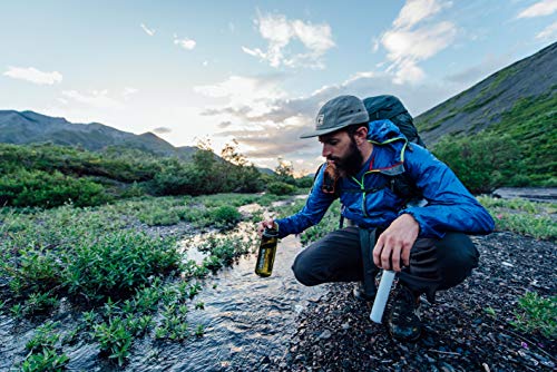 LifeStraw Go 2-Stage - Botella con filtro de agua de 2 etapas