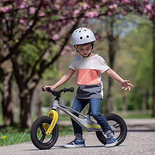 LIONELO Bart Bicicleta sin Pedales de 2 años hasta 30kg, Cuadro de magnesio, al Estilo Deportivo, Ruedas 12", Altura de Manillar y sillín Regulable, Muy Robusta y Ligera (Gris, Bart Tour)