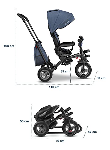 LIONELO Tris Bicicleta 2 en 1 Niño hasta 25 kg 12-60M Triciclo y carrito- bicicleta Cinturones de 3 puntos con fundas Regulación gradual del respaldo de 3 niveles Jeans