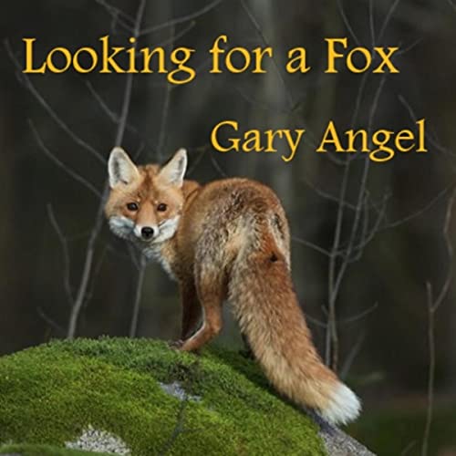 Looking for a Fox