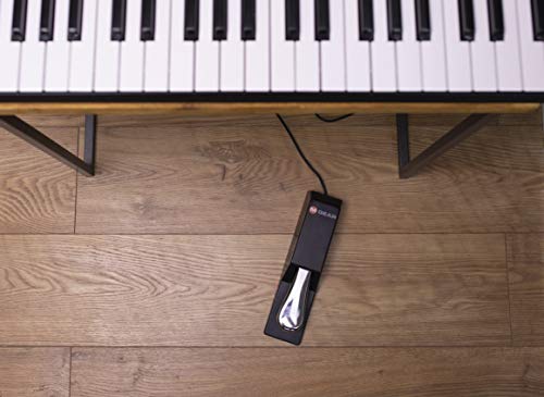 M-Audio SP-2 - Pedal de sostenido universal con tacto de piano para teclados electrónicos, pianos digitales, controladores MIDI, sintetizadores y más