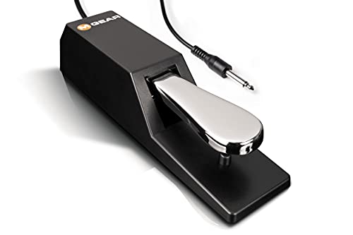 M-Audio SP-2 - Pedal de sostenido universal con tacto de piano para teclados electrónicos, pianos digitales, controladores MIDI, sintetizadores y más