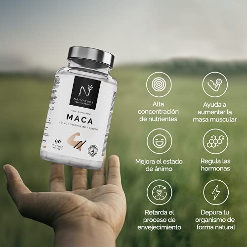 Maca. Máxima concentración de maca negra (25:1) aumenta tu energía y vitalidad. Potenciador muscular, reduce la fatiga y aumenta los niveles de testosterona. 90 cápsulas