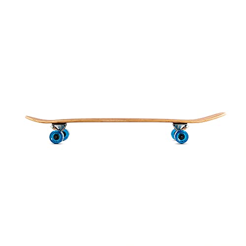 Magneto 44 Pulgadas kicktail Crucero Longboard monopatín | Bambú y Cubierta de Arce Duro | Hecho para Adultos, Adolescentes y niños (Azul)