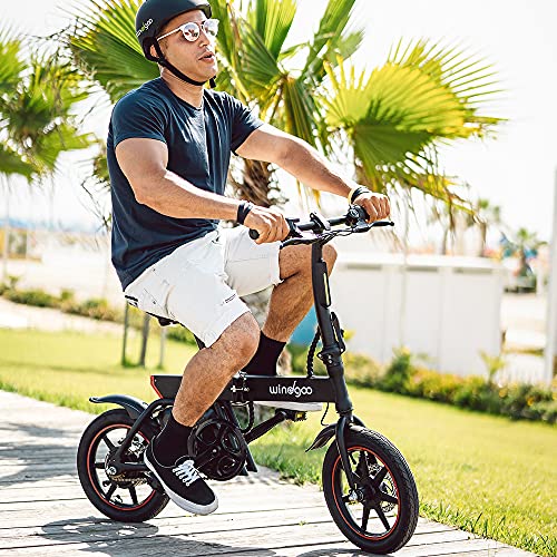 Mangoo Bicicleta eléctrica, Bicicleta eléctrica Plegable con Motor de 250W, Bicicleta eléctrica de 14"para Adultos, 25 km/h, batería de Iones de Litio de 36V 6.0 AH