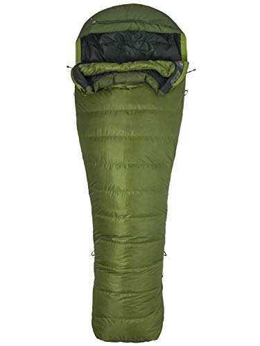 Marmot Never Winter Saco de Dormir Ultraligero y cálido, con Relleno de 650 Plumas de Pato, para Acampar y Trekking, Unisex-Adult, Cilantro/Tree Green, Regular: 183 cm