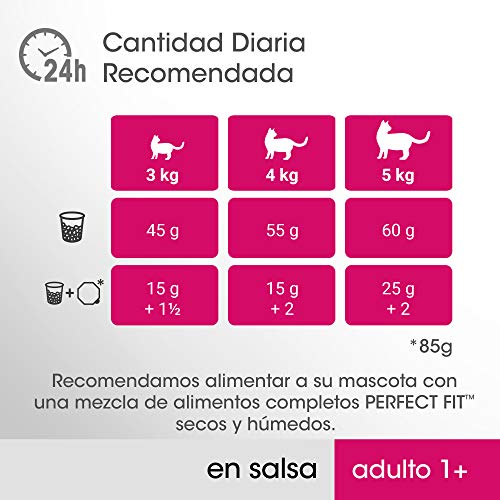 Mars - Perfect Fit Comida Húmeda Natural para Gatos Adultos Sabor Pescado y Verduras (13 paquetes x 4 sobres x 85g)