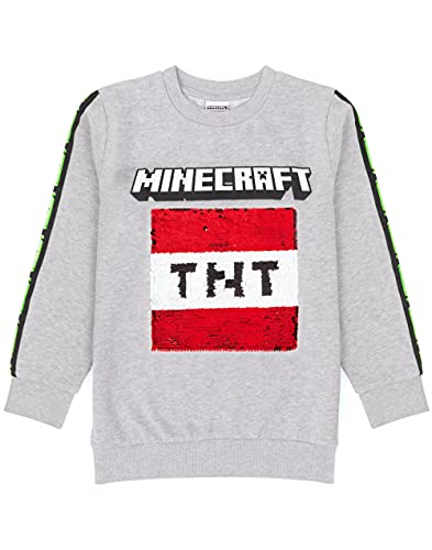 Minecraft Kids Sudadera Sudadera Escritura TNT Gray Gamer Jumper Sudadera con ca 9-10 años